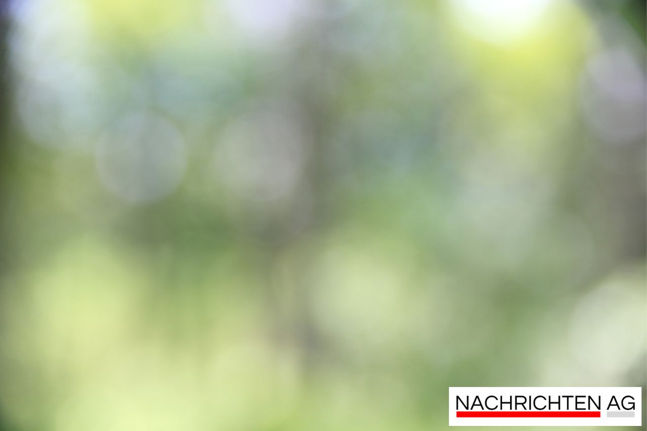 Neuer Schwung für Freiberg: Stadtclub erstrahlt unter frischen Beats!