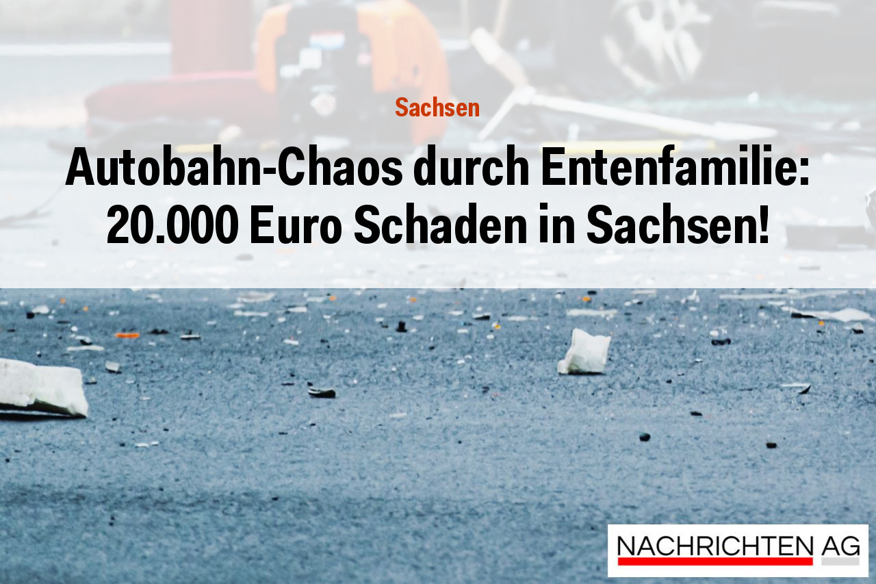 Autobahn-Chaos durch Entenfamilie: 20.000 Euro Schaden in Sachsen!