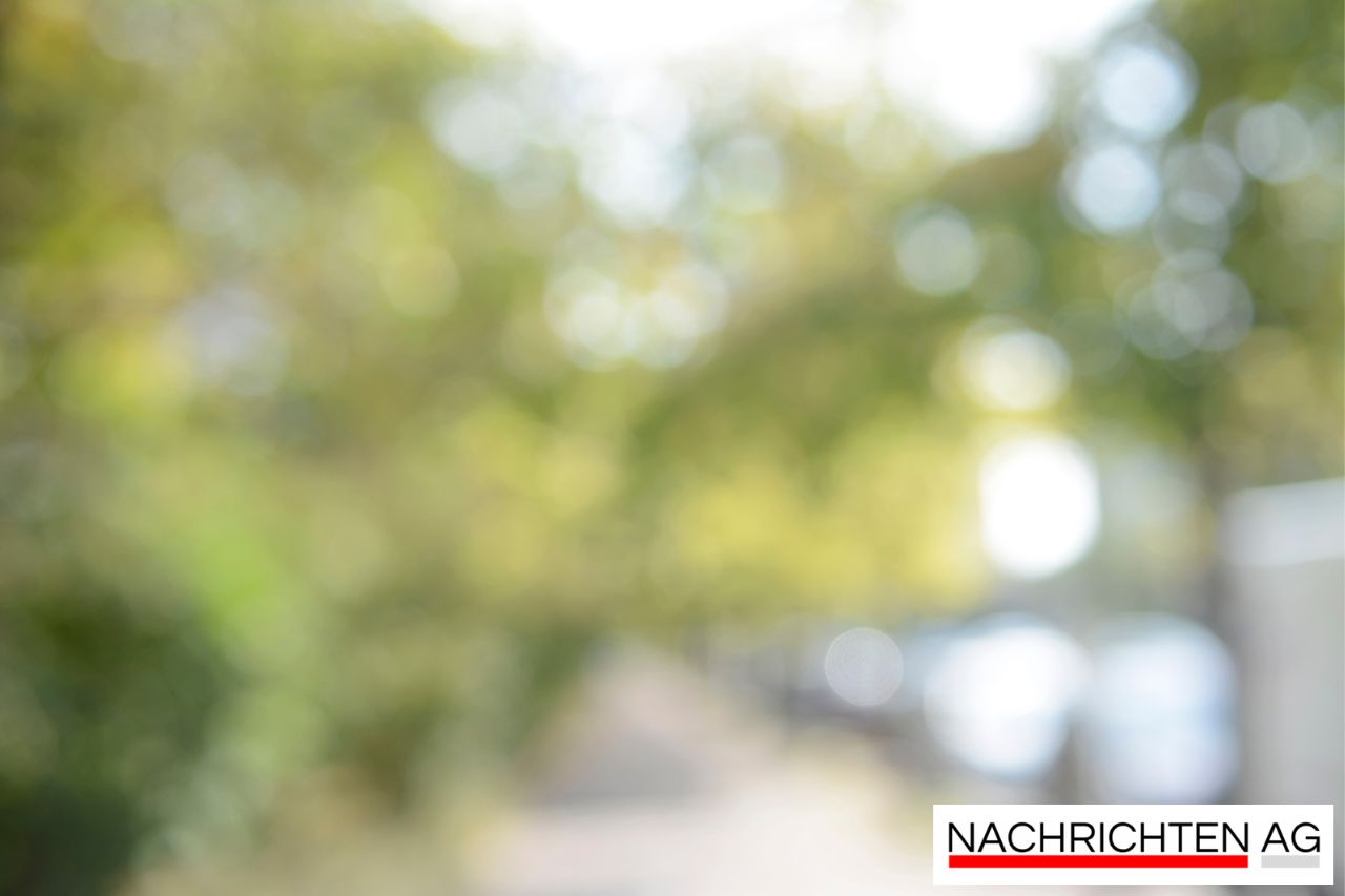 Einbürgerungstest in Sachsen: Reporter geht den Fragen auf den Grund!