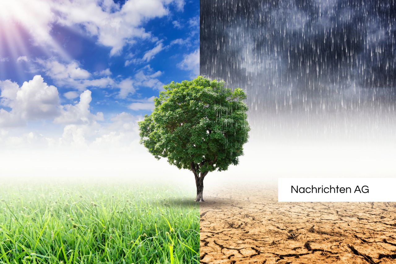 Präzise Messungen im Vesserer Wald: Jeder Tropfen zählt für den Klimaschutz!